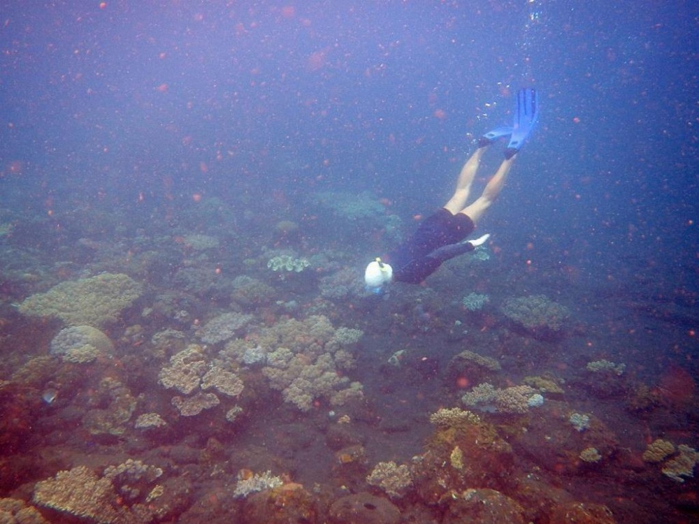 Cape Gulah Bali Image 40